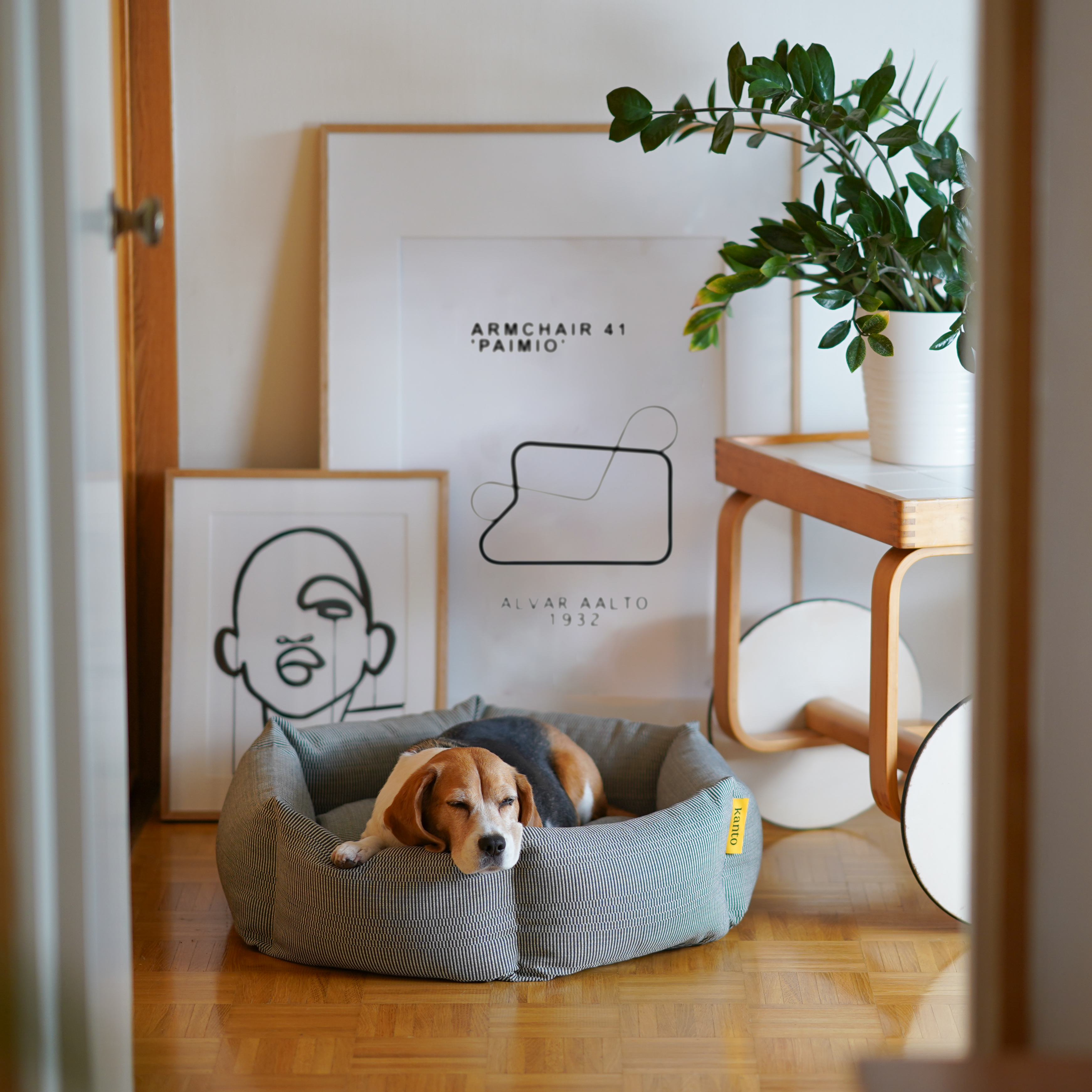 Elegant Kanto x Johanna Gullichsen dog bed in a chic living room, demonstrating how luxury and sustainable design enhance home decor.