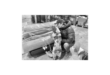 design dog bed, koiranpeti, hundebäd, hundeseng