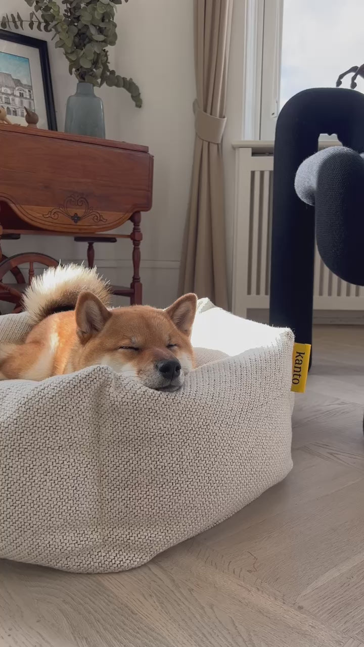 Studio Kanto dog bed nestled in a cozy corner, illustrating luxury sustainable design that creates a perfect relaxation spot for pets.
