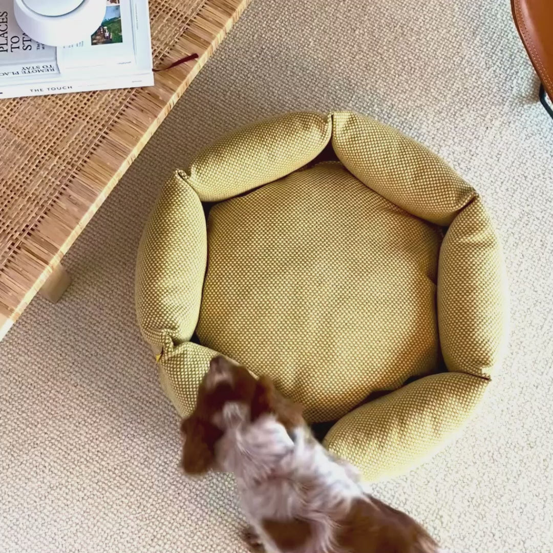 Pet-friendly home featuring a Studio Kanto high-quality dog bed, promoting a healthy, luxurious, and sustainable environment for pets.