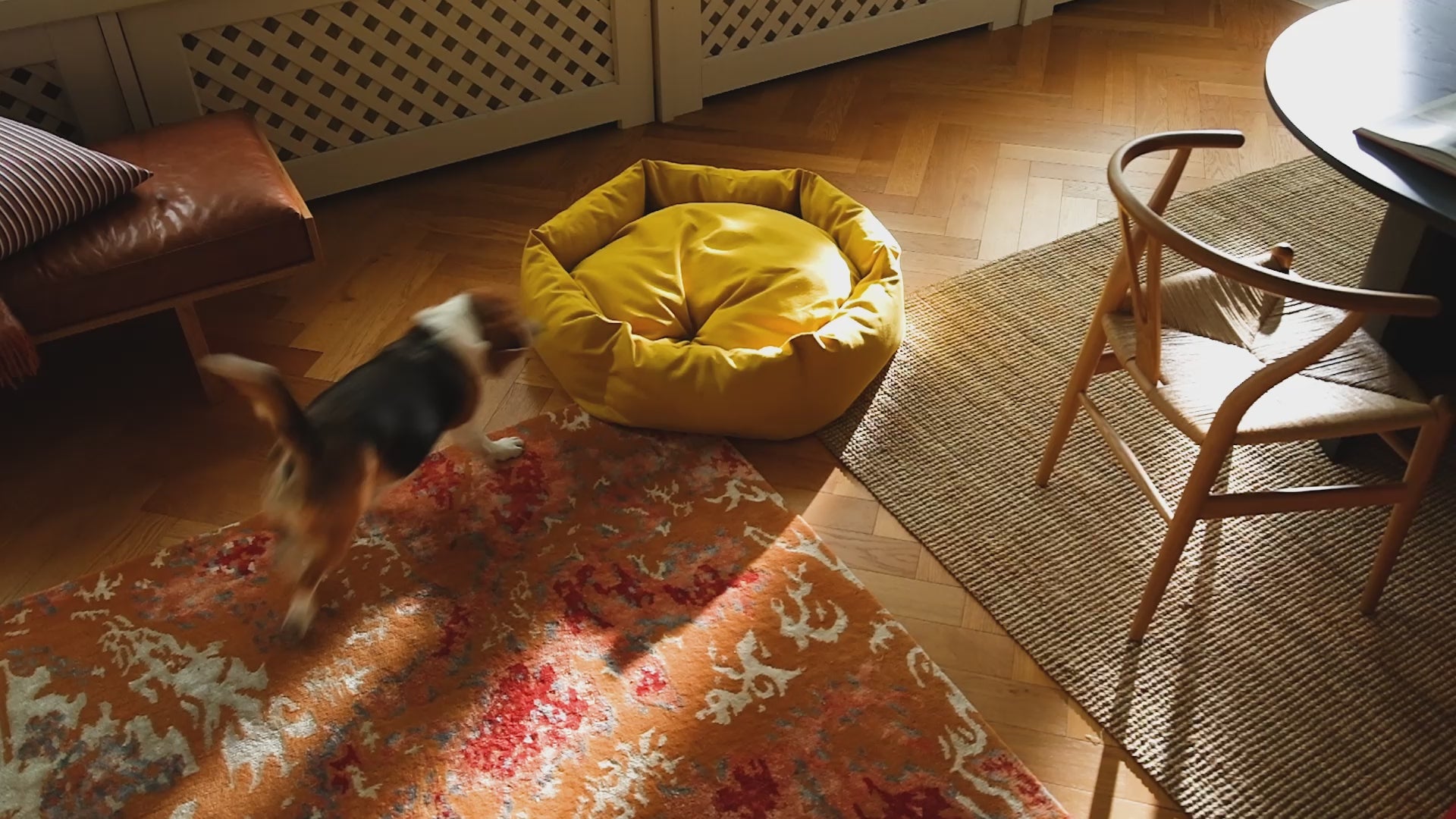 A happy dog lounging on a luxurious Kanto dog bed, reflecting the brand's commitment to high-quality and sustainable comfort.