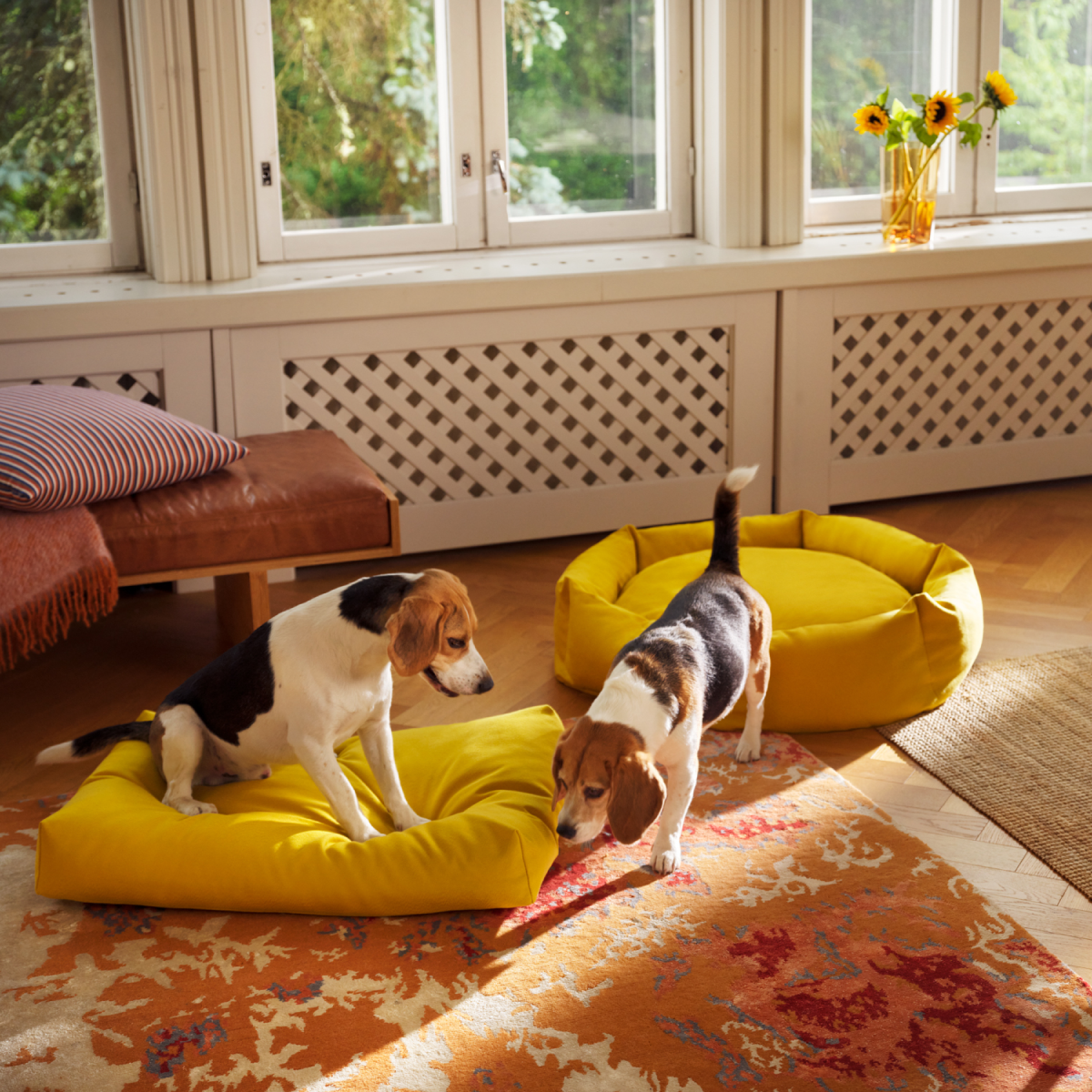 Multiple Studio Kanto high-quality dog beds in various colors, emphasizing customizable options and luxurious sustainable design.