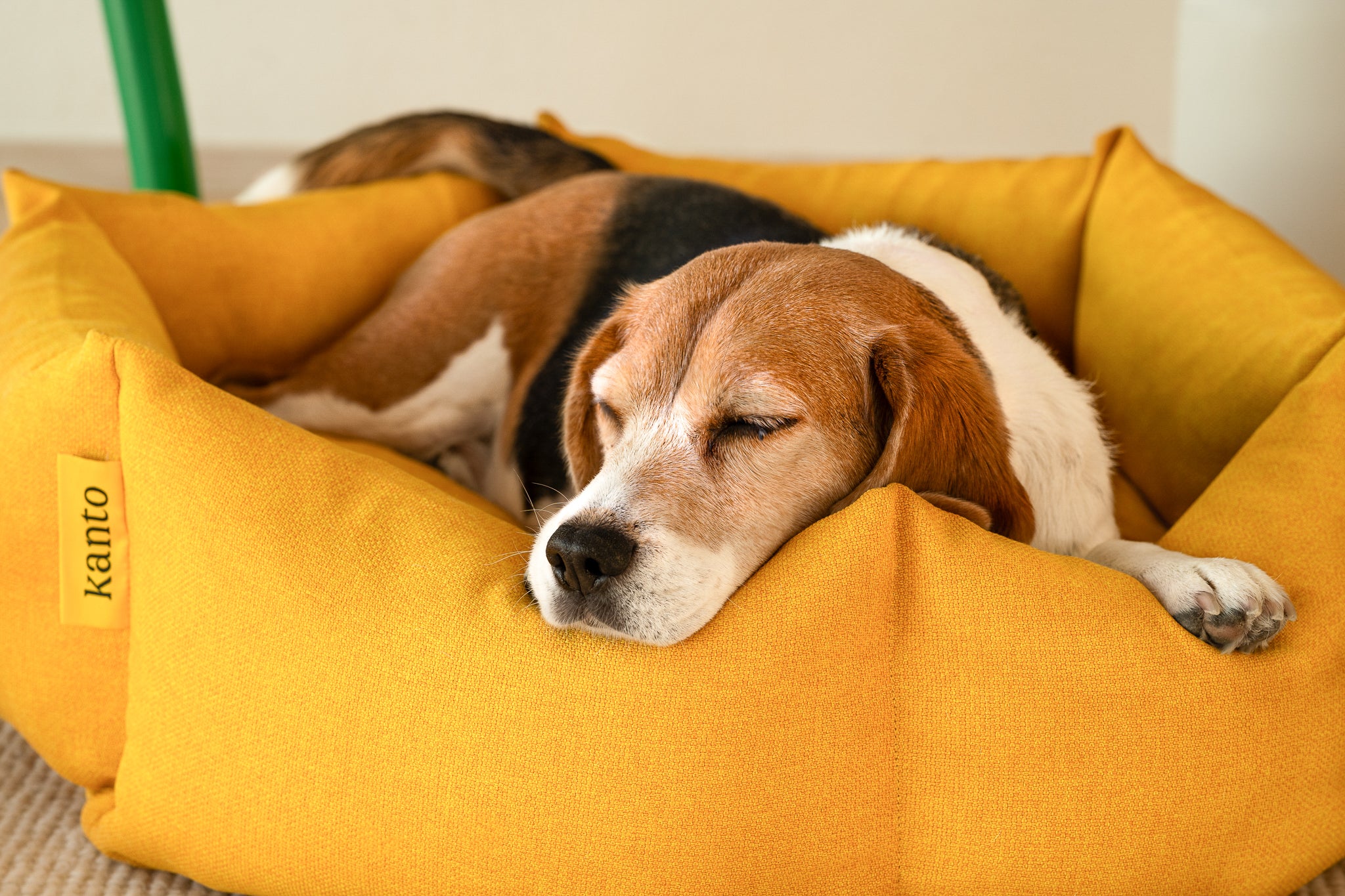 Mustard dog bed hotsell