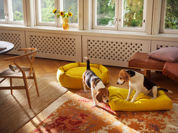Durable dog bed, kestävä koiranpeti, Utrolig slidstyrke