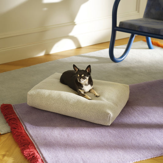 Peti Oksa - Kvadrat Coda